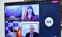 Tham khảo Chính trị lần thứ VII cấp Thứ trưởng Ngoại giao Việt Nam - Brasil