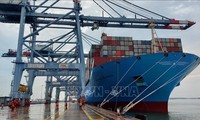 Lượng tàu biển nước ngoài qua cảng Việt Nam giảm do đại dịch Covid-19