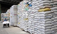 Chính phủ cấp phát hàng ngàn tấn gạo hỗ trợ người dân gặp khó khăn do COVID-19