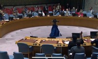 Hội đồng Bảo an Liên hợp quốc họp về tình hình Trung Đông bao gồm vấn đề Palestine