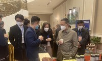 Xuân Quê Hương 2022: Đòan đại biểu kiều bào thăm Tây Thiên - Vĩnh Phúc