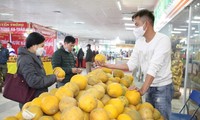  Hội chợ Xuân Nhâm Dần: Nơi hội tụ hương vị Xuân đất Việt