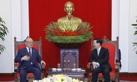 Nỗ lực thúc đẩy quan hệ đối tác chiến lược sâu rộng Việt Nam - Nhật Bản phát triển hơn nữa
