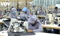 Tỉnh Quảng Nam hỗ trợ người lao động ổn định việc làm