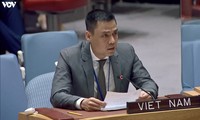 Việt Nam kêu gọi thúc đẩy nỗ lực bảo vệ dân thường trong xung đột