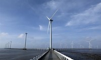 Các nhà sản xuất châu Âu quan tâm đến điện gió ngoài khơi ở Việt Nam