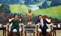 Hợp tác quốc phòng là trụ cột quan trọng của mối quan hệ hữu nghị Việt Nam - Lào