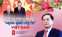 Giá trị đặc sắc của đường lối “ngoại giao cây tre Việt Nam”