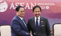 Thủ tướng Phạm Minh Chính hội kiến Quốc vương Brunei 