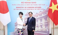 Thúc đẩy quan hệ Việt Nam-Nhật Bản phát triển mạnh mẽ, thực chất hơn nữa