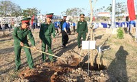 Tỉnh Ninh Thuận phát động Tết trồng cây Xuân Giáp Thìn 2024