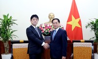 Thúc đẩy cụ thể hóa khuôn khổ Đối tác chiến lược toàn diện Việt Nam - Nhật Bản