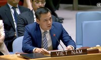 Việt Nam ủng hộ vai trò của Hội đồng Bảo an Liên hợp quốc trong giải quyết các thách thức an ninh mạng toàn cầu