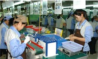 Nilai perdagangan Vietnam-Sri Lanka melampaui tarap rencana tahun 2012