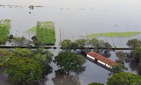 Vietnam berbagi pengalaman dalam mitigasi resiko bencana alam