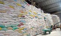 Filipina mengimpor lagi beras Vietnam