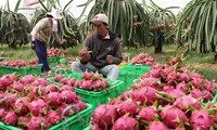 Memperluas pasar ekspor hasil pertanian