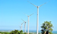 Mengesahkan daftar Proyek : “Perancangan perkembangan listrik tenaga angin di Vietnam”
