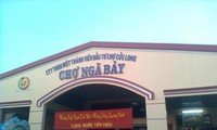Kota madya Nga Bay -Panji pelopor dalam pembangunan pedesaan baru di Daerah Dataran Rendah Sungai Mekong
