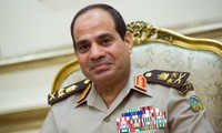 Mesir menegaskan jatuhnya pesawat terbang Rusia di Mesir dilakukan oleh kaum teroris