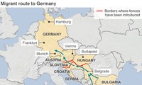 Negara-negara Baltik mulai mendirikan pagar di perbatasan