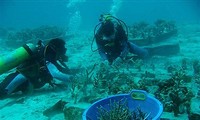  Alarm situasi terumbu karang yang mengalami kerusakan