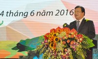 Deputi PM Trinh Dinh Dung menghadadiri upacara pencanangan “Bulan aksi demi lingkungan hidup” di propinsi Lao Cai