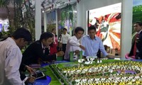 Lebih dari 70 badan usaha menghadiri Pekan Raya Viethome Expo 2016
