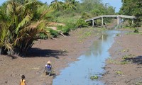 Kaum tani Daerah Dataran Rendah Sungai Mekong beradaptasi dengan musim tanpa banjir