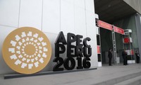 Berpartisipasi pada APEC di Peru: Vietnam  menyiapkan APEC-2017