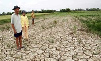 Jepang berkomitmen akan terus membantu Vietnam menghadapi perubahan iklim