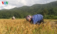 Vietnam menyerukan kepada para mitra supaya terus bekerjasa untuk membantu Vietnam mengentas dari kelaparan dan kemiskinan