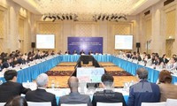 APEC 2017: Hari kerja  ke-12, Konferensi SOM 1 dan pertemuan-pertemuan yang bersangkutan