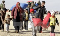 Masalah migran : ILO memulai program pendidikan elektronik kepada kaum migran Syriah di Jordania