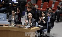 PBB berseru kepada Israel supaya menghentikan pendudukan terhadap Palestina 