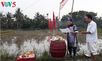 Pesta Turun ke Sawah yang khas dari warga Kotamadya Quang Yen, Propinsi Quang Ninh