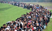 Masalah migran: Mesir berhasil mencegah intrik membawa migran secara ilegal ke Eropa