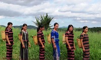 Kerajinan anyam- menganyam tradisional dari warga etnis minoritas Pa Ko