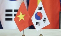Hubungan Vietnam-Republik Korea berkembang baik