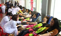Penjelasan tentang gerakan donor darah sukarela di Vietnam