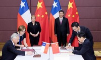 Tiongkok dan Cile menaikkan tingkat Permufakatan Perdagangan Bebas Bilateral