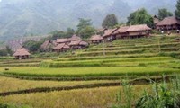 Kabupaten Cao Phong, Provinsi Hoa Binh mengkonservaskan nilai kebudayaan daerah Muong Thang