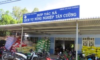 Memperkenalkan sepintas lintas tentang pola koperasi di Vietnam