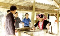Menjaga kejuruan membuat kertas Ban dari warga etnis minoritas Dao, Kabupaten Bac Quang, provinsi Ha Giang