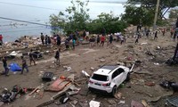 Gempa bumi dan tsunami di Indonesia : Pemerintah Indonesia memberikan 43 juta USD Untuk membantu para korban