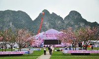 Festival “Mata hari terbit” di daerah Pusaka Teluk  Ha Long