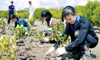 Vietnam berinisiastif dan aktif melaksanakan komitmen-komitmen internasional tentang perubahan iklim