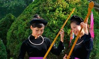 Kesenian membuat siterTinh yang dilakukan oleh warga etnis minoritas Tay di Provinsi Cao Bang