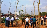 Daerah-daerah di seluruh negeri memberangkatkan pasukan untuk menanam pohon pada awal Musim Semi Tahun 2019