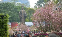  Festival bunga Sakura Jepang-Hanoi tahun 2019 yang unik